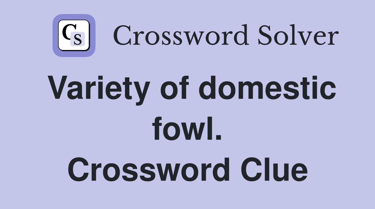 Variety of domestic fowl. Crossword Clue