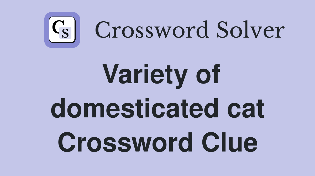 Variety of domesticated cat Crossword Clue