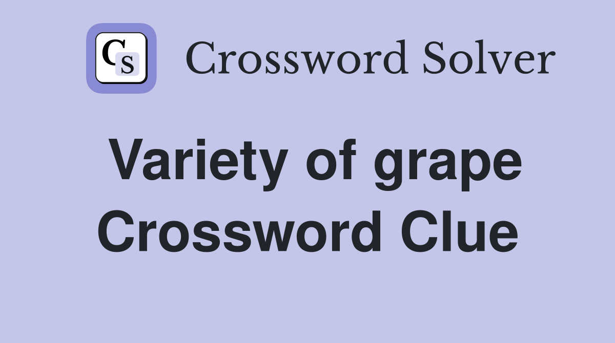 Variety of grape Crossword Clue