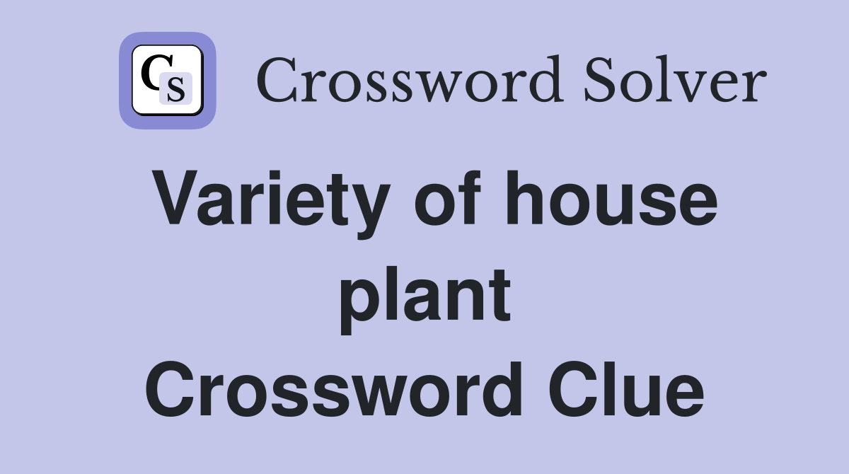Variety of house plant Crossword Clue