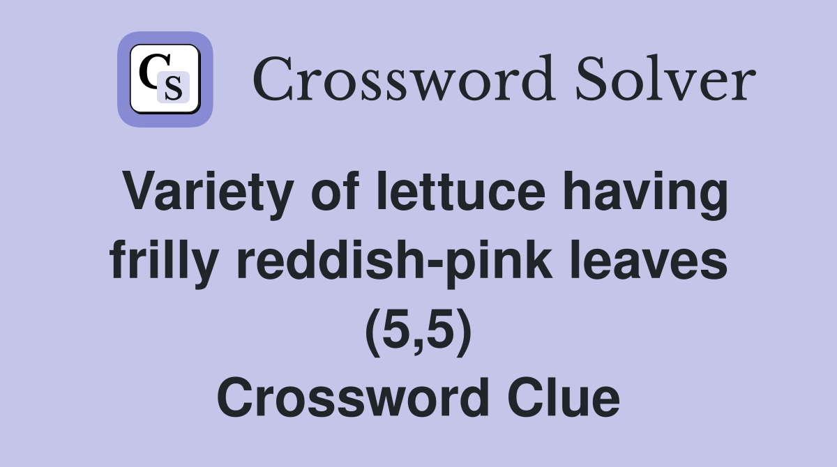 Variety of lettuce having frilly reddish-pink leaves (5,5) Crossword Clue