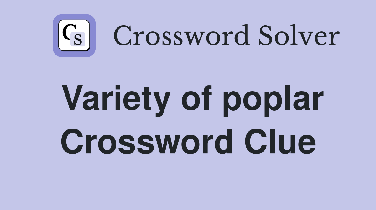Variety of poplar Crossword Clue