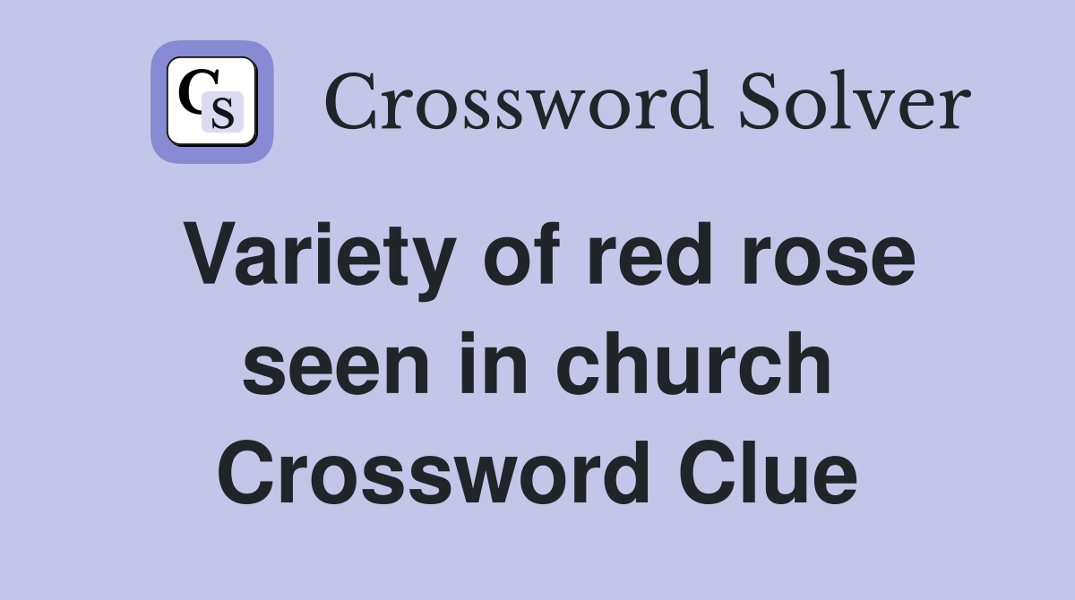 Variety of red rose seen in church Crossword Clue