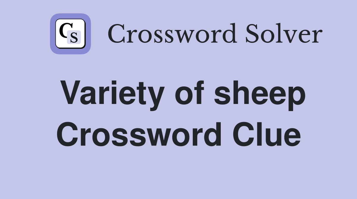Variety of sheep Crossword Clue