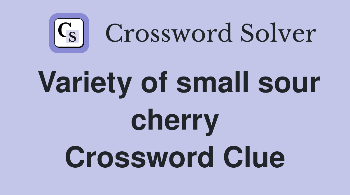 Variety of small sour cherry Crossword Clue