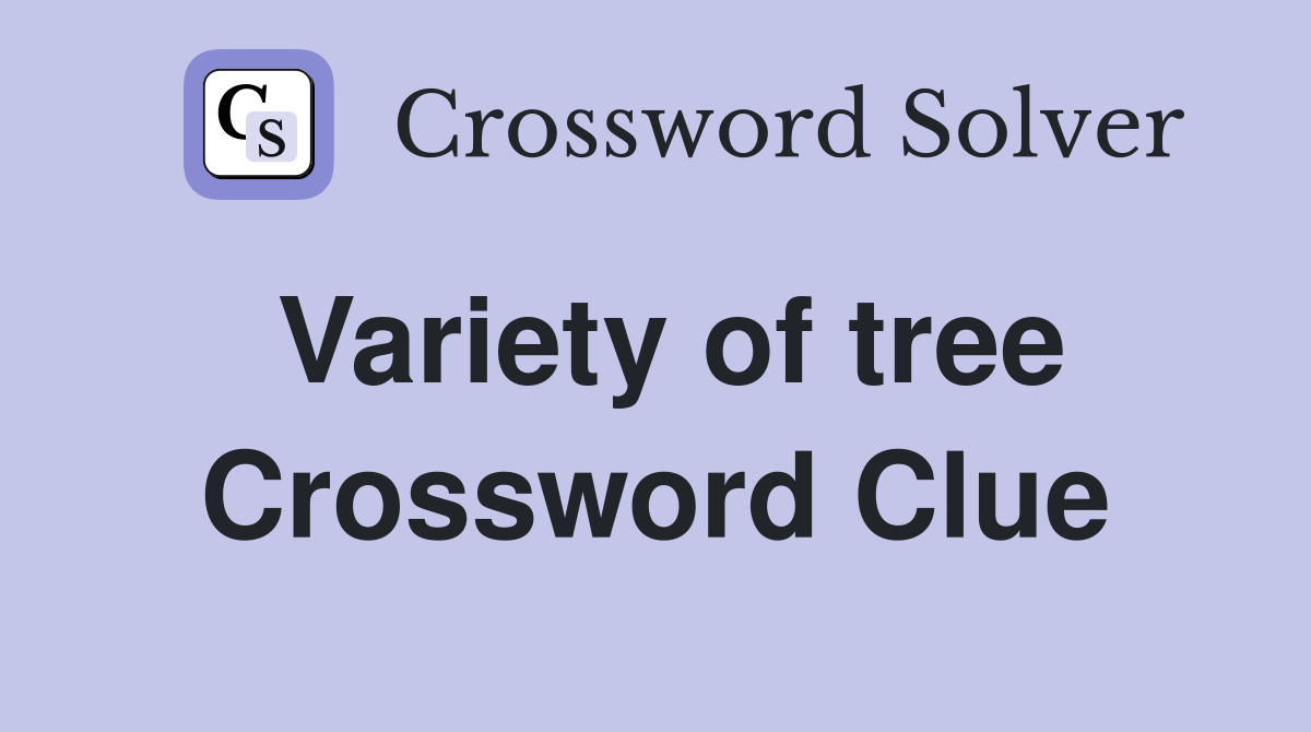 Variety of tree Crossword Clue