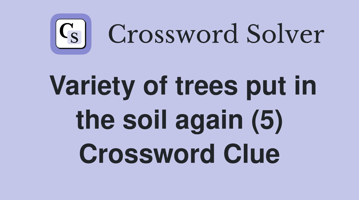 Variety of trees put in the soil again (5) Crossword Clue