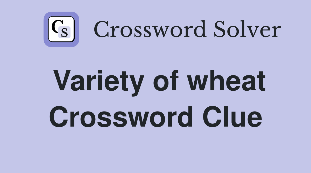 Variety of wheat Crossword Clue