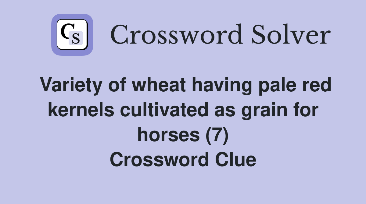 Variety of wheat having pale red kernels cultivated as grain for horses (7) Crossword Clue
