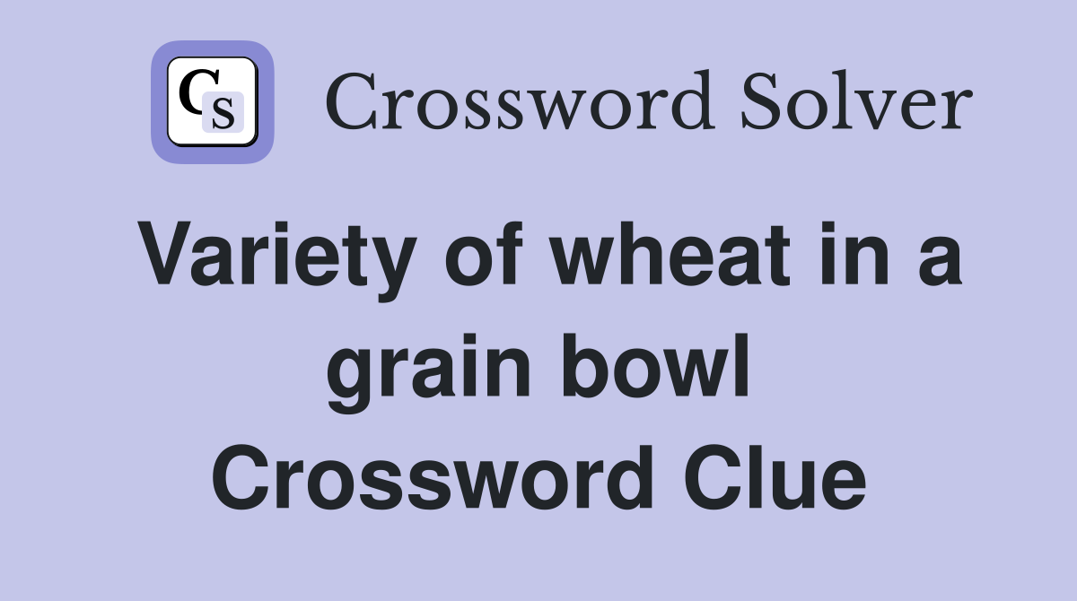 Variety of wheat in a grain bowl Crossword Clue