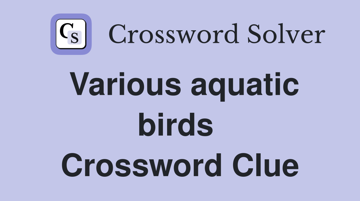 Various aquatic birds  Crossword Clue