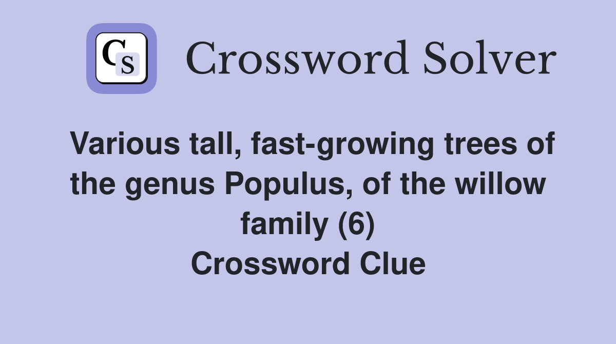 Various tall, fast-growing trees of the genus Populus, of the willow family (6) Crossword Clue