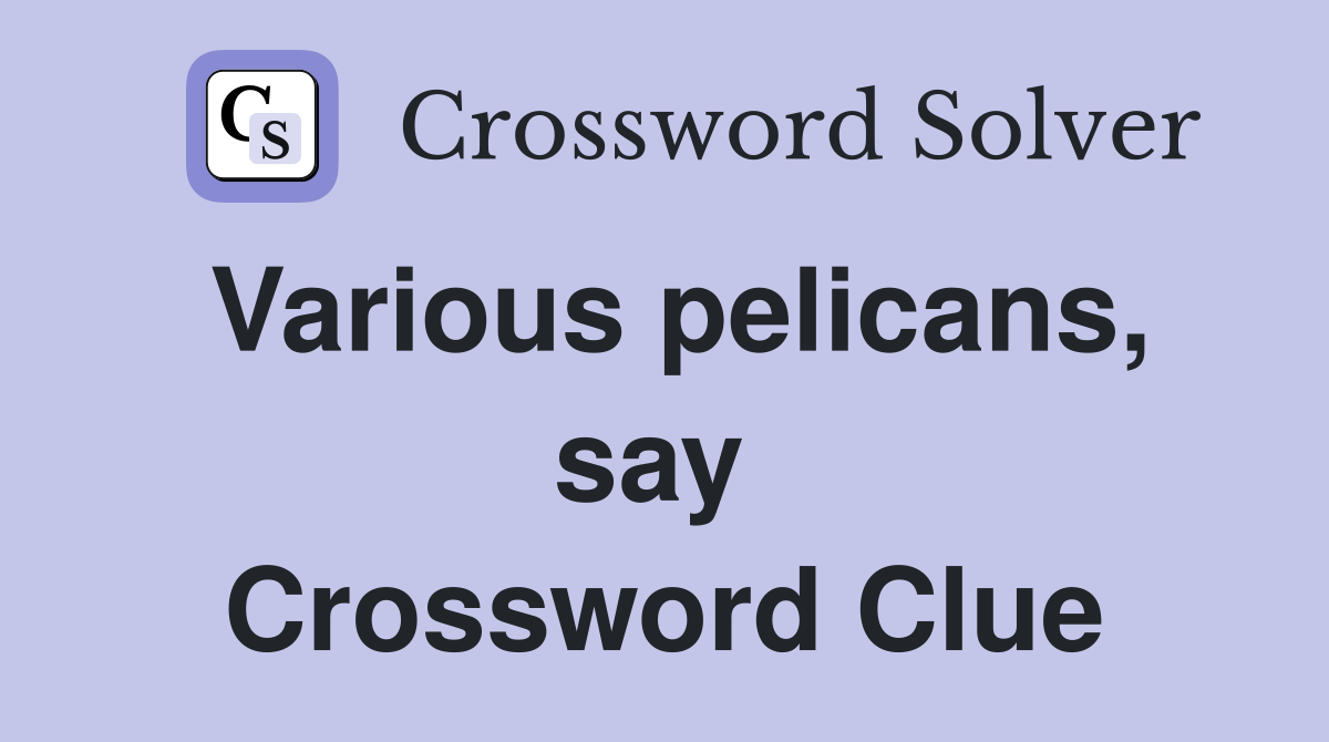 Various pelicans, say  Crossword Clue