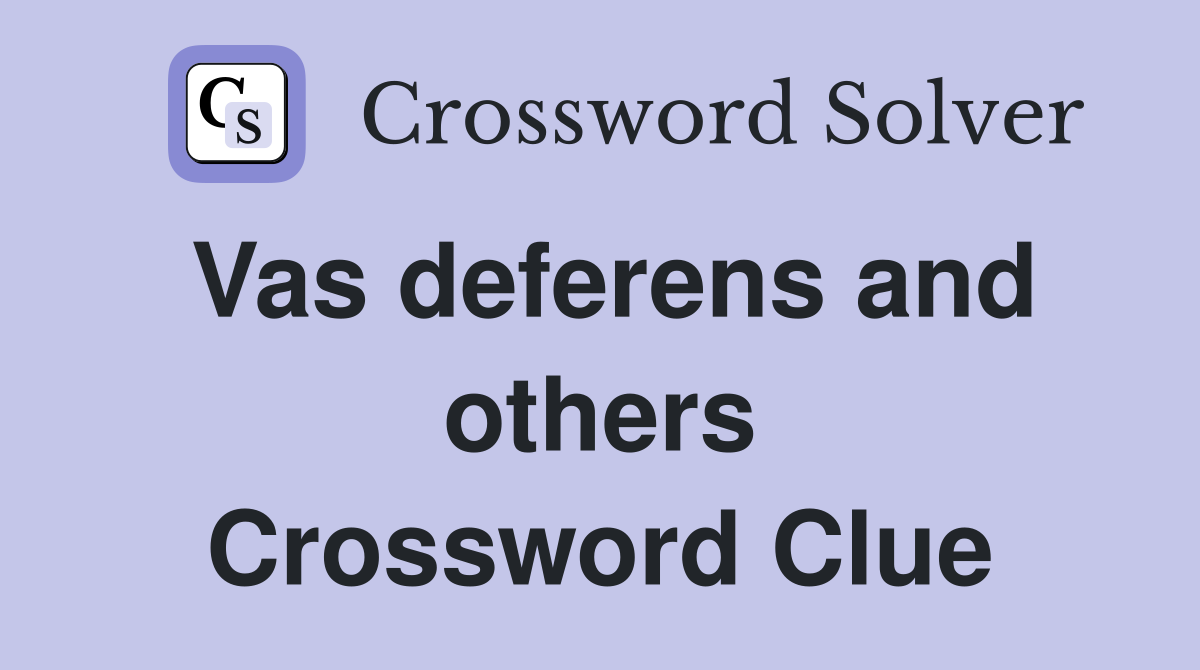 Vas deferens and others Crossword Clue