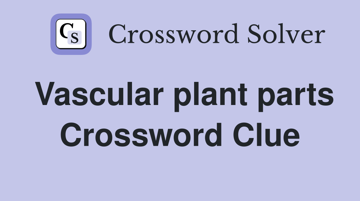 Vascular plant parts Crossword Clue