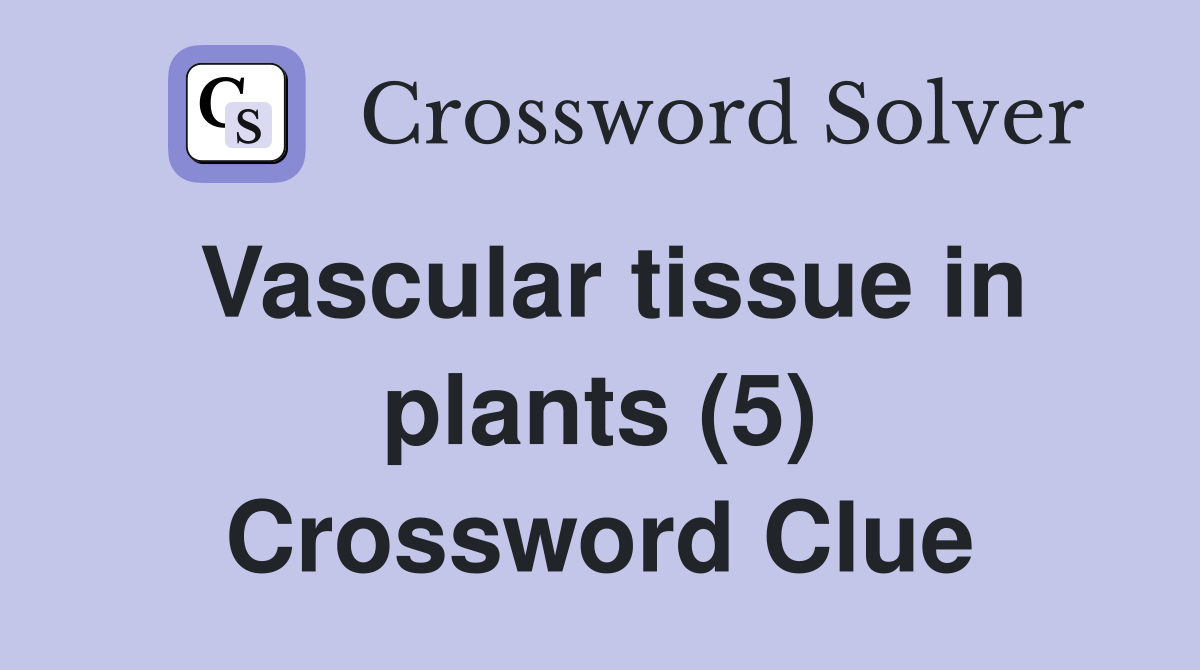 Vascular tissue in plants (5) Crossword Clue