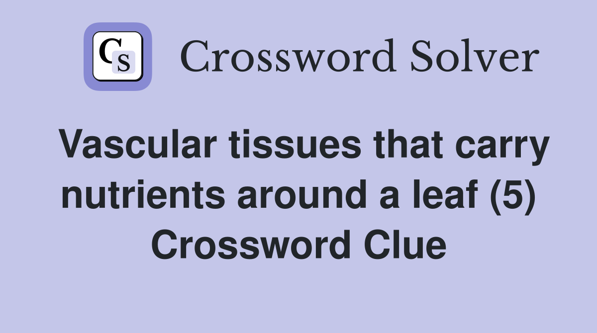 Vascular tissues that carry nutrients around a leaf (5) Crossword Clue