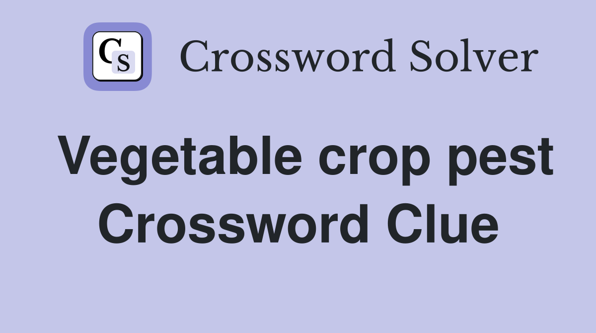 Vegetable crop pest Crossword Clue