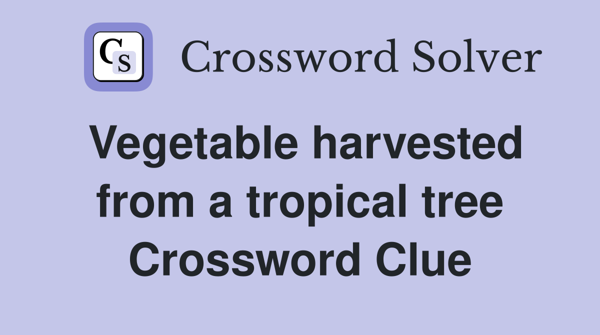 Vegetable harvested from a tropical tree Crossword Clue