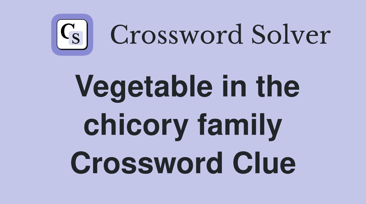 Vegetable in the chicory family Crossword Clue