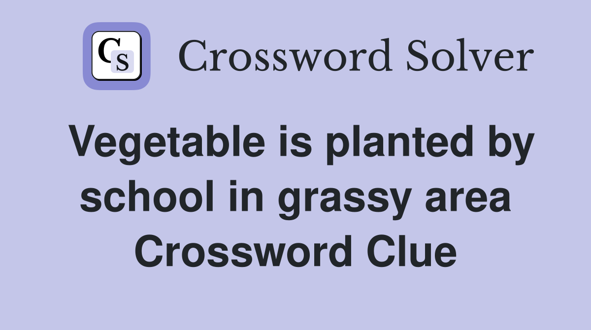 Vegetable is planted by school in grassy area Crossword Clue