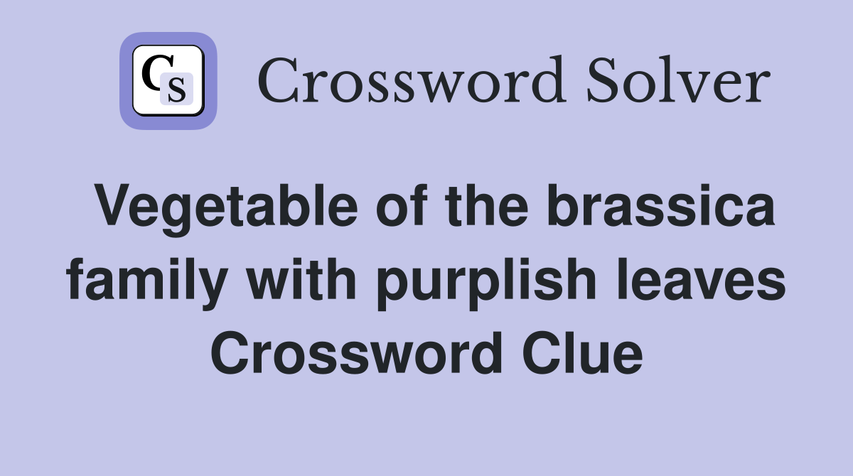 Vegetable of the brassica family with purplish leaves Crossword Clue