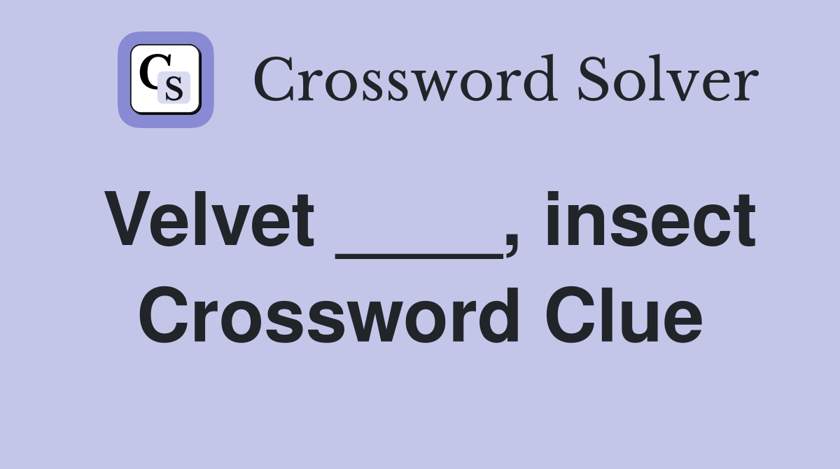 Velvet ____, insect Crossword Clue