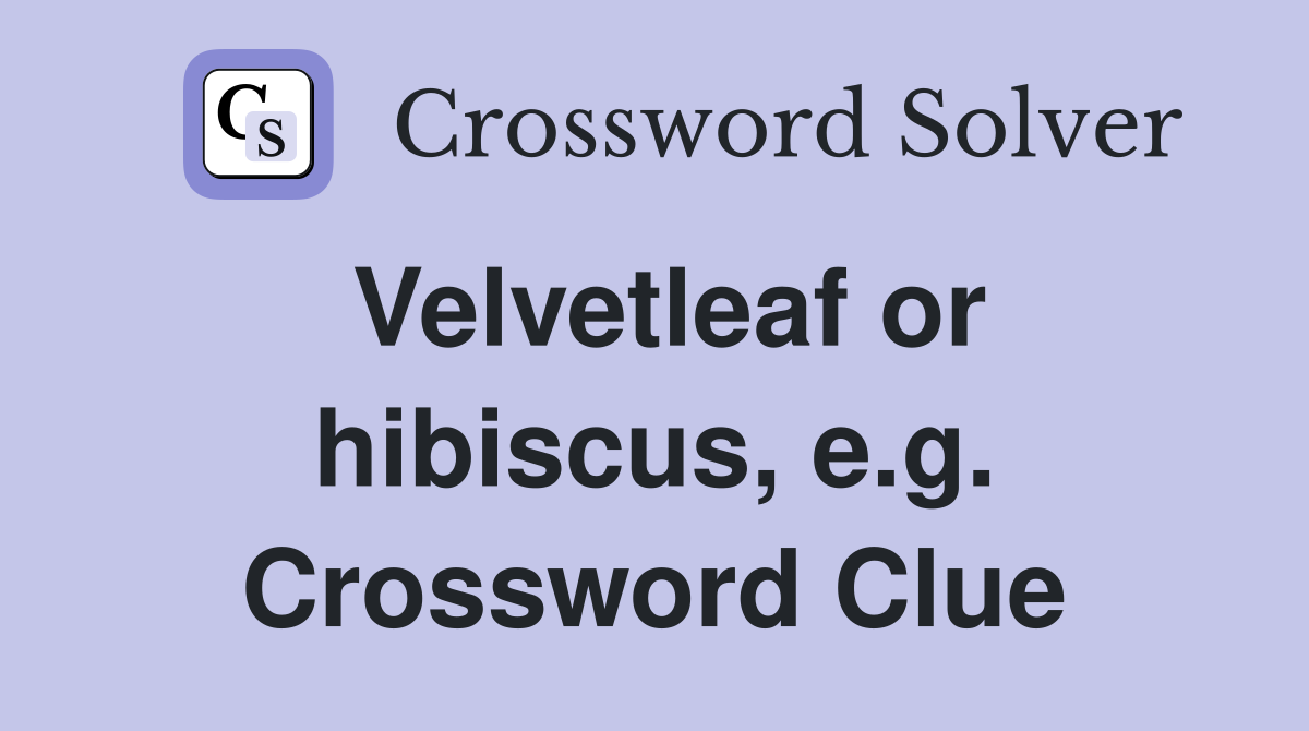 Velvetleaf or hibiscus, e.g. Crossword Clue