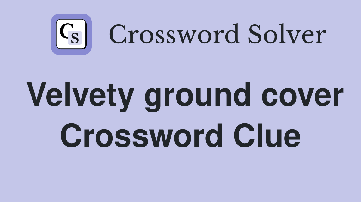 Velvety ground cover Crossword Clue