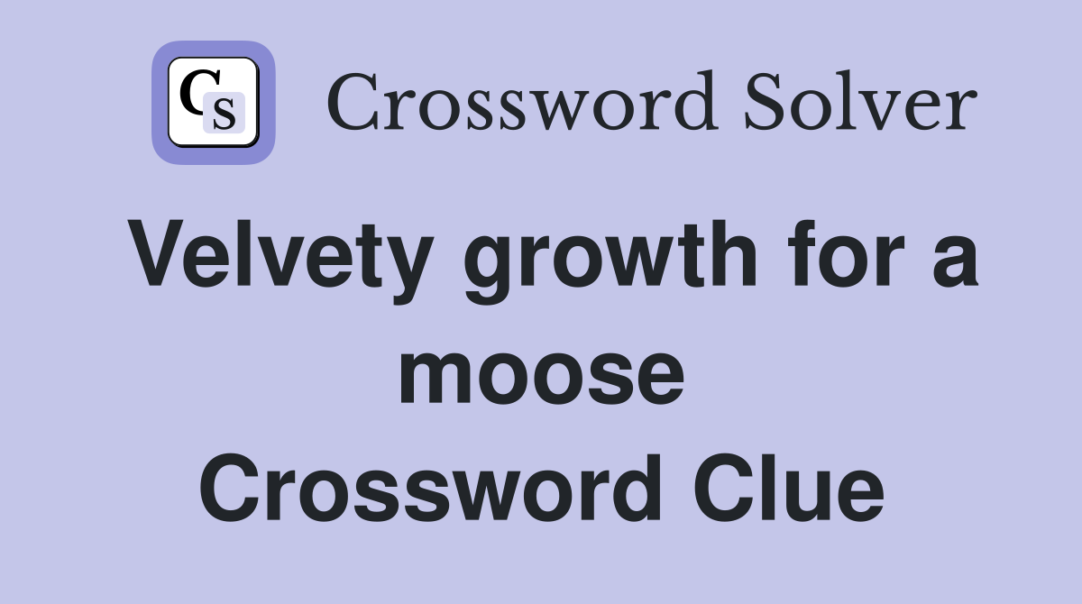Velvety growth for a moose Crossword Clue