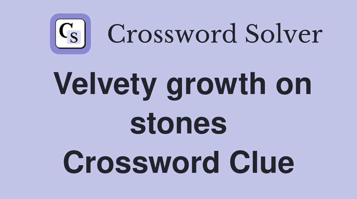 Velvety growth on stones Crossword Clue