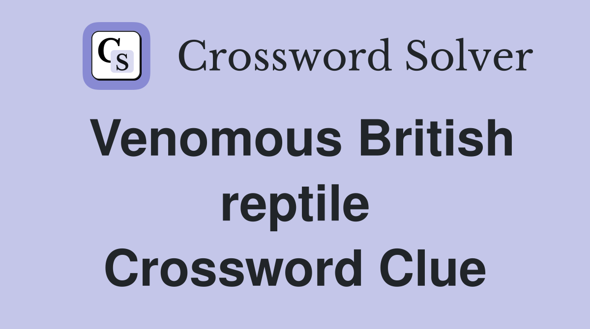 Venomous British reptile Crossword Clue