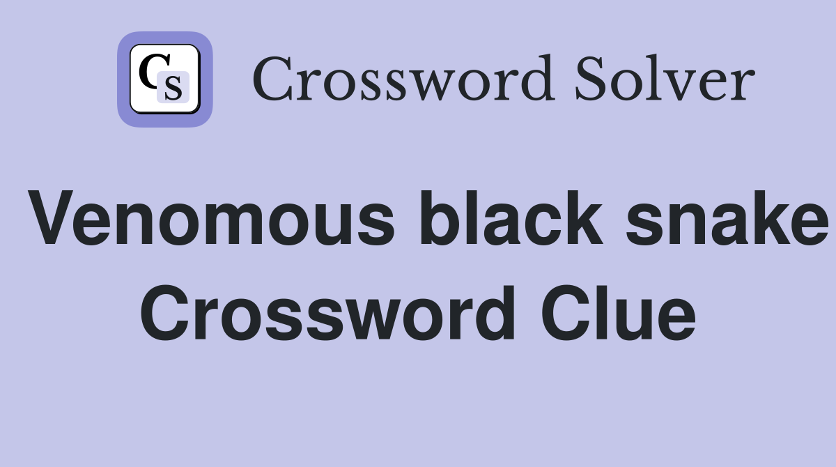 Venomous black snake Crossword Clue