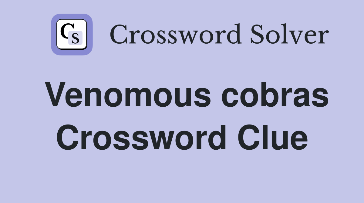 Venomous cobras Crossword Clue