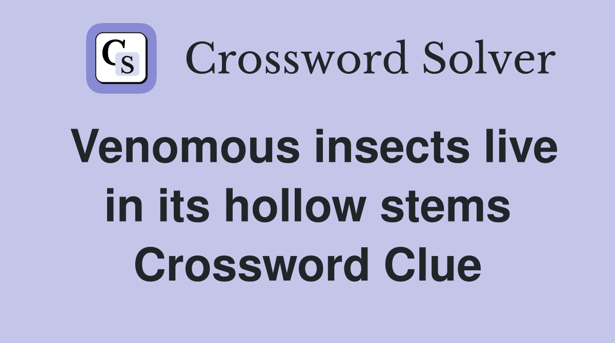 Venomous insects live in its hollow stems Crossword Clue