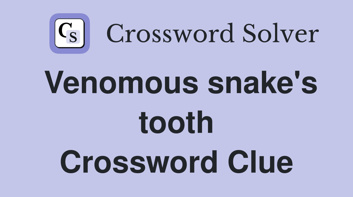 Venomous snake's tooth Crossword Clue