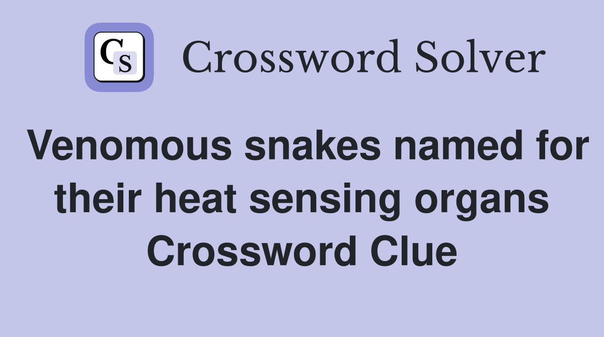 Venomous snakes named for their heat sensing organs Crossword Clue
