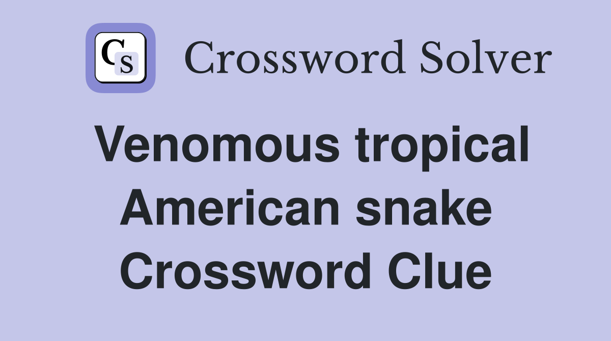 Venomous tropical American snake Crossword Clue
