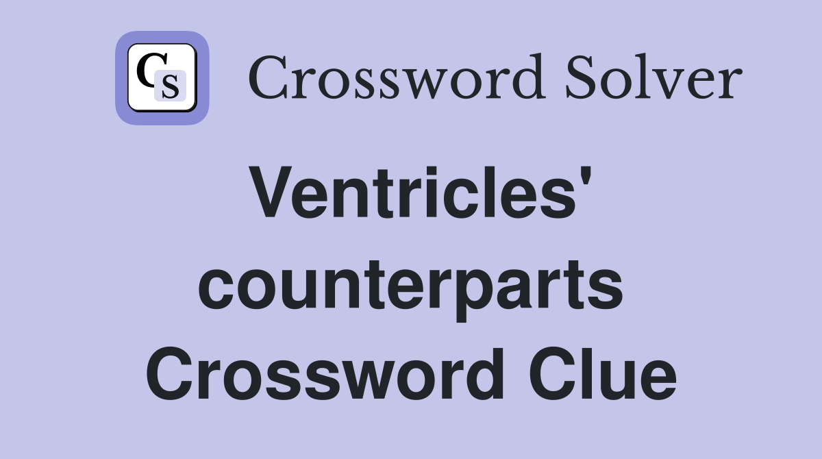 Ventricles' counterparts Crossword Clue