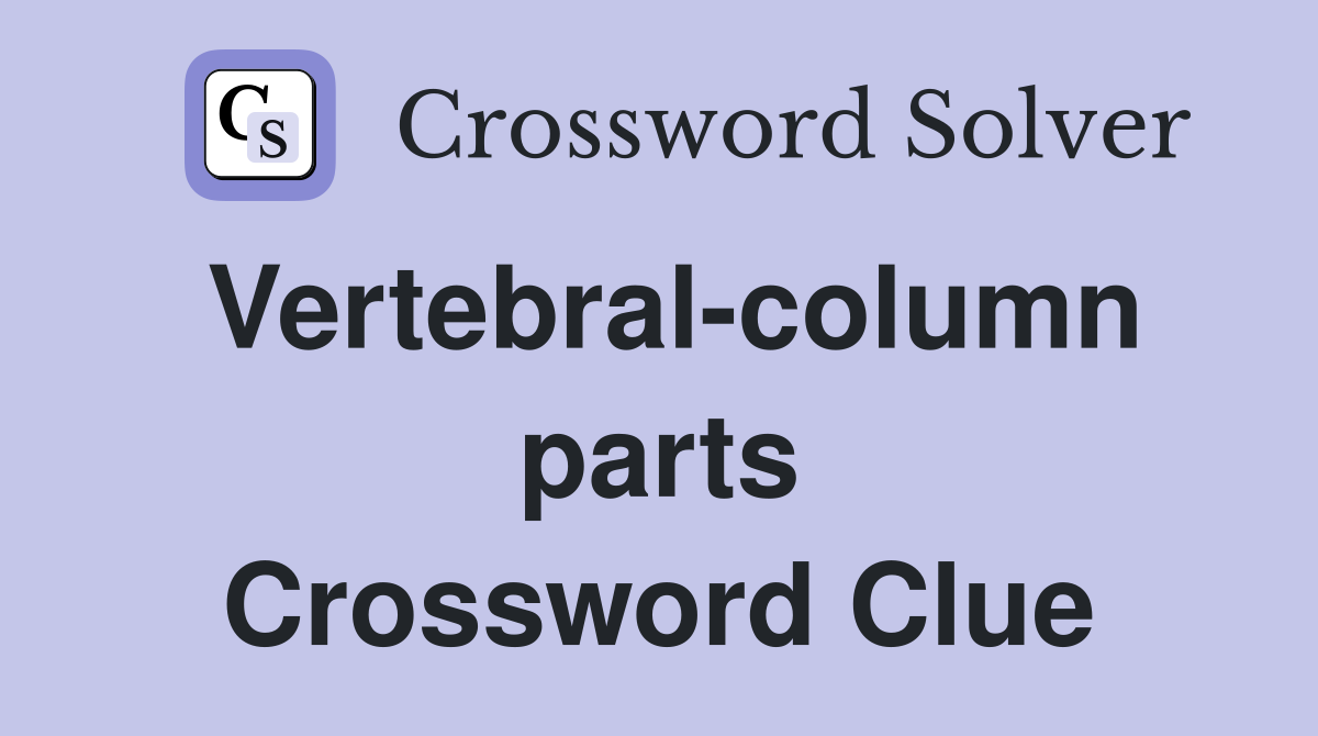 Vertebral-column parts Crossword Clue