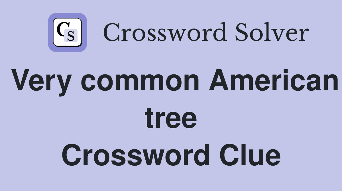 Very common American tree Crossword Clue