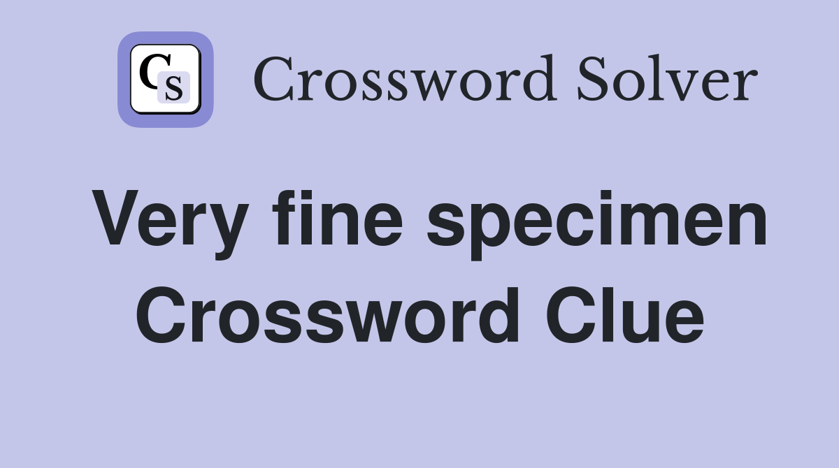 Very fine specimen Crossword Clue