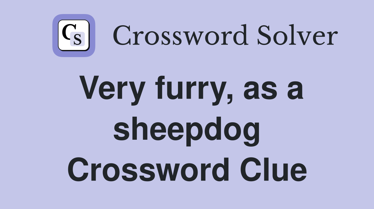 Very furry, as a sheepdog Crossword Clue