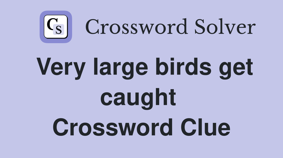 Very large birds get caught  Crossword Clue
