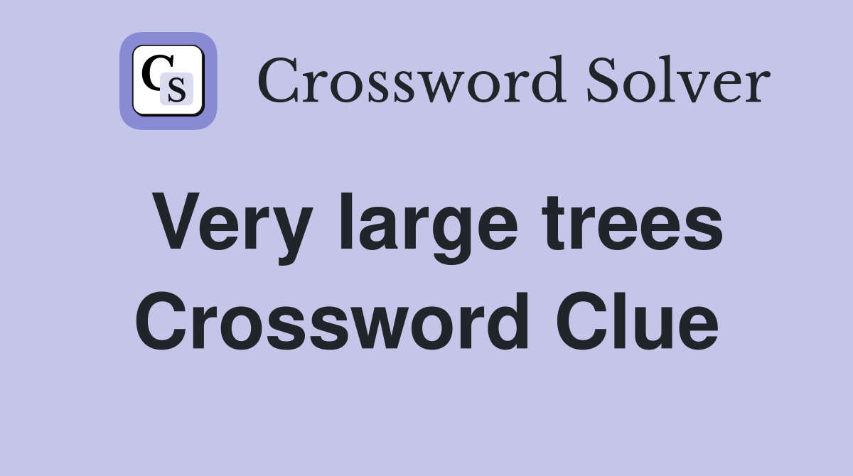 Very large trees Crossword Clue