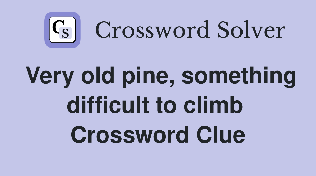 Very old pine, something difficult to climb  Crossword Clue