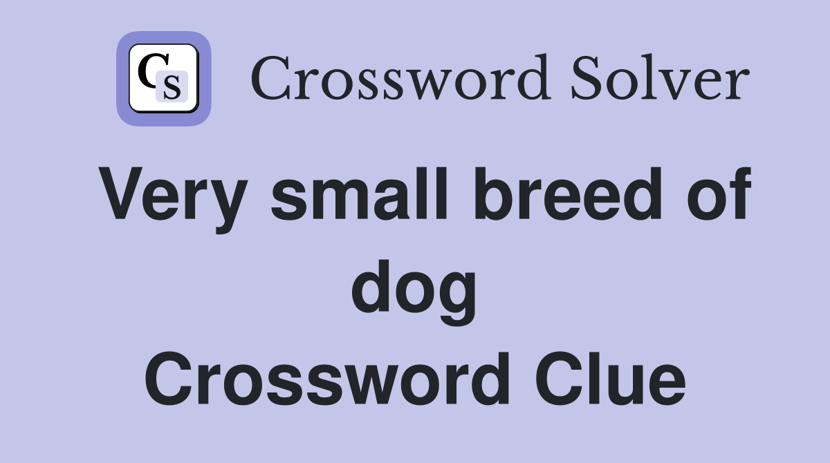 Very small breed of dog Crossword Clue