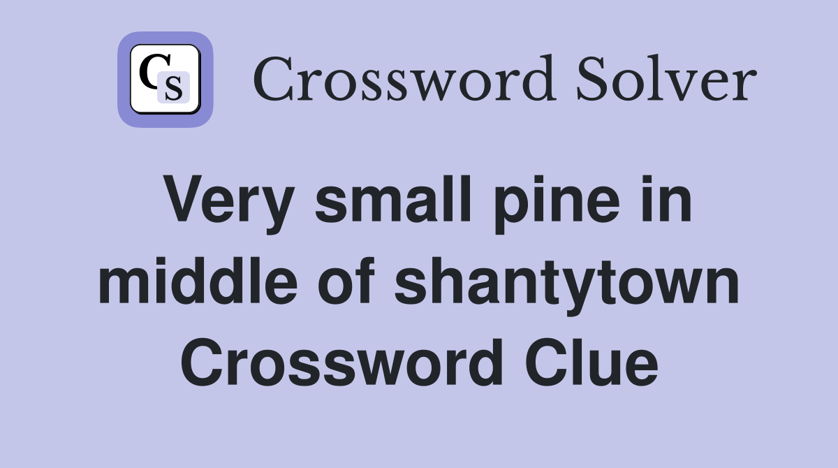 Very small pine in middle of shantytown Crossword Clue