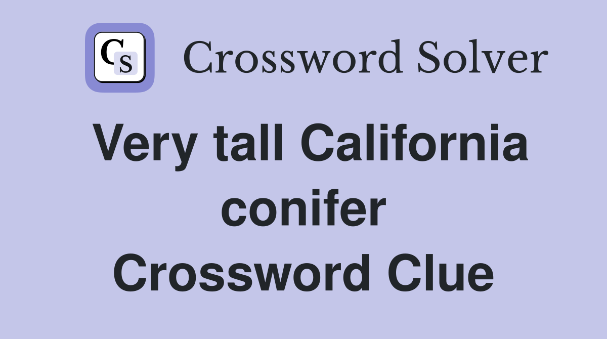Very tall California conifer Crossword Clue