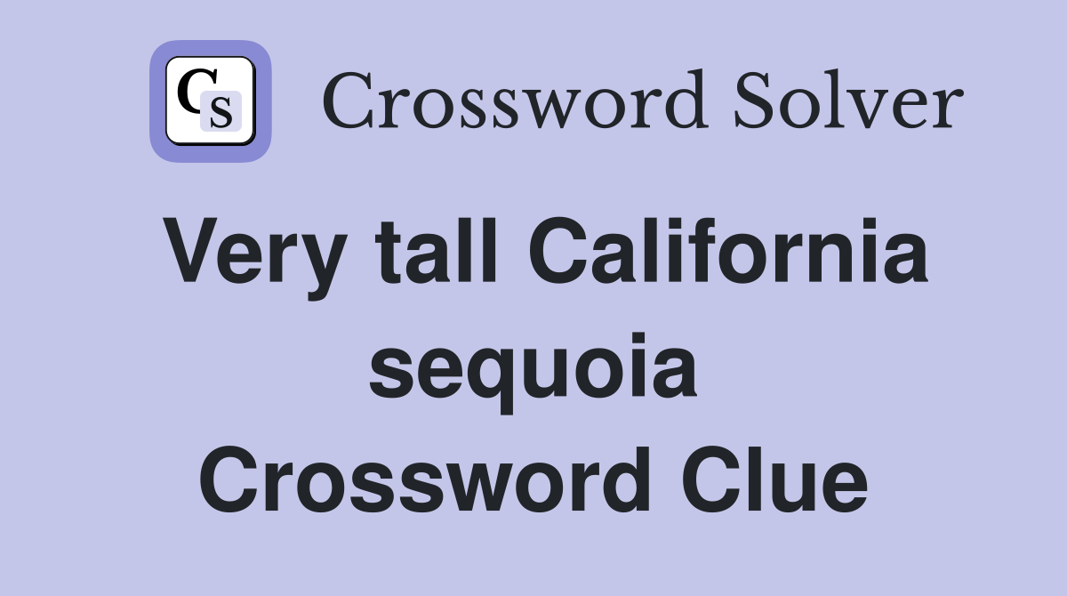 Very tall California sequoia Crossword Clue